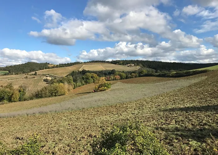 Primula Appartamento