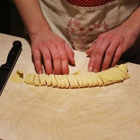 Primula 포지본시