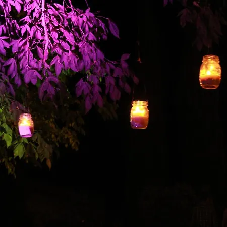 Apartamento Primula *