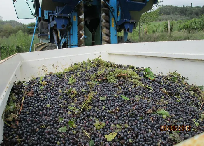 דירה Primula פוג'יבונסי