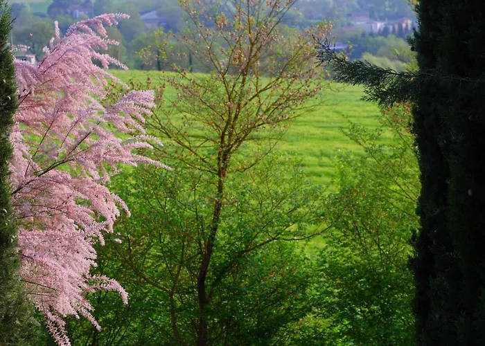 Apartamento Primula Poggibonsi
