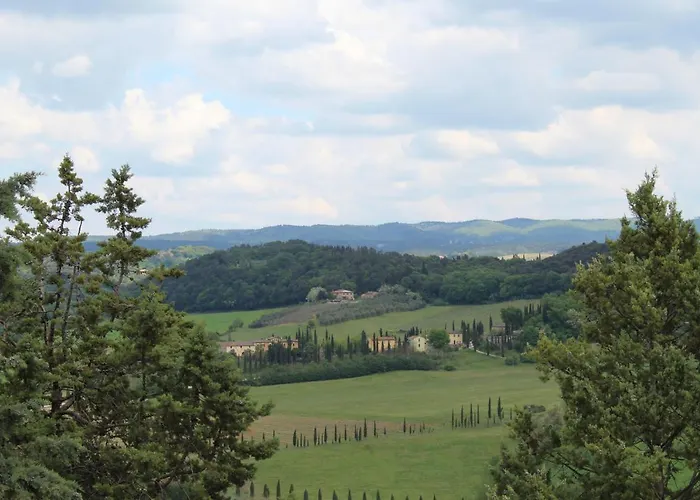 Primula * Poggibonsi